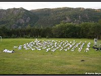 2011 06 22 2395-border